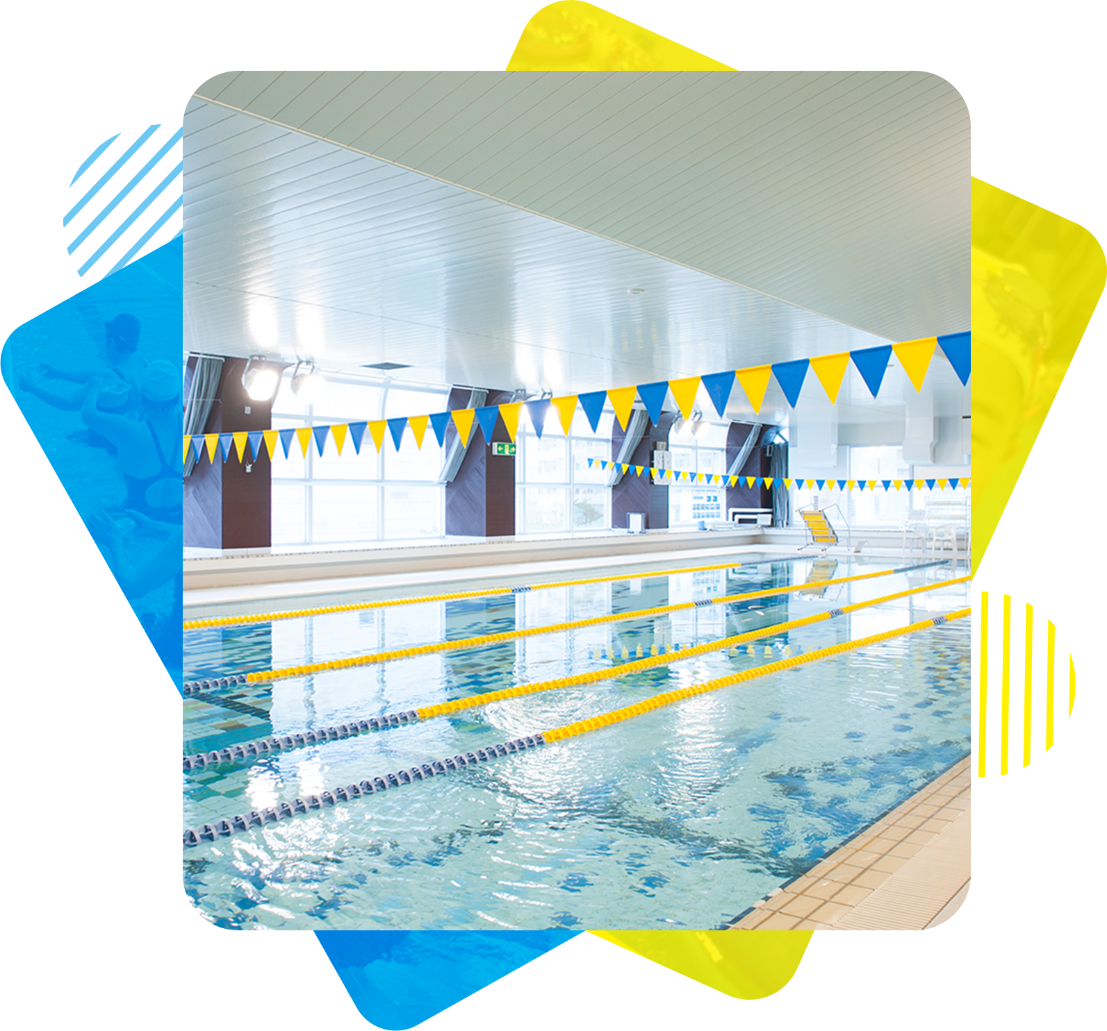 柳井スイミングスクールについて